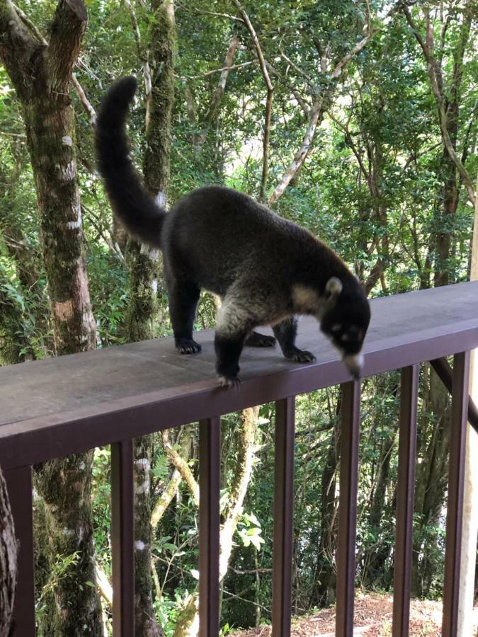 Cantos Del Bosque Monteverde Buitenkant foto